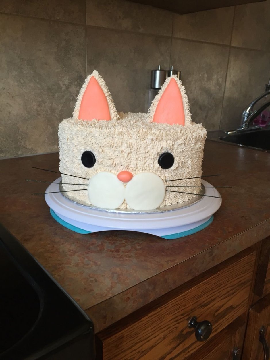 Торт морда кота