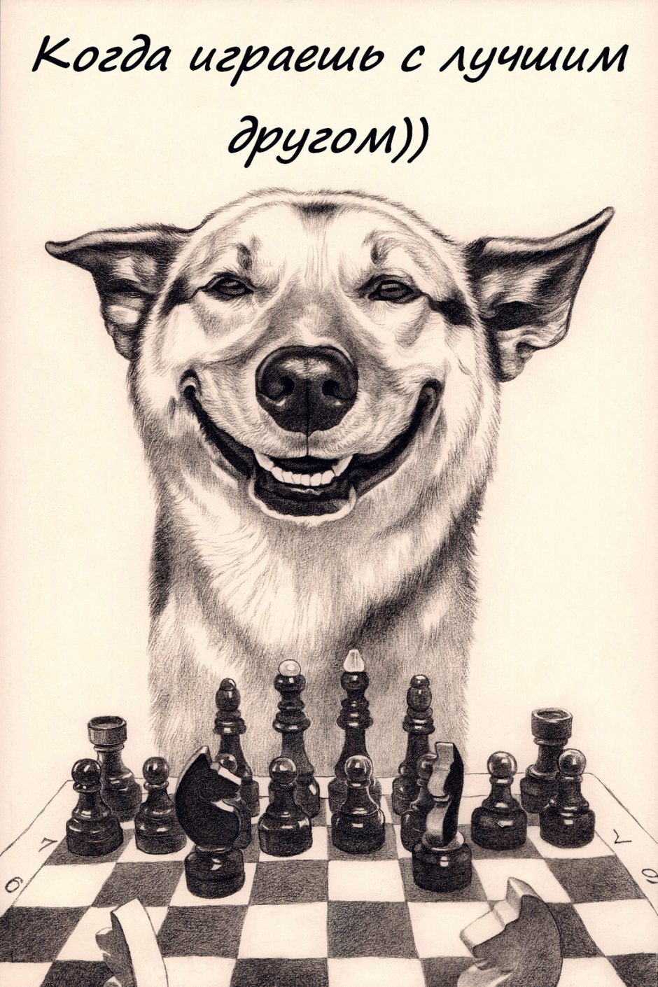 Всемирный день шахмат