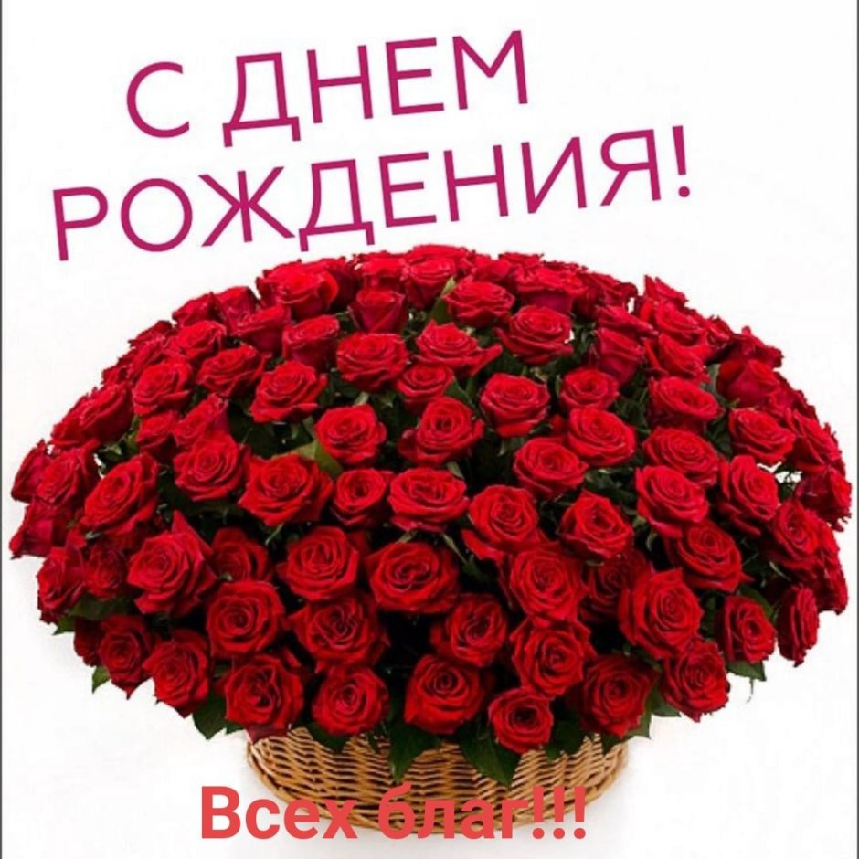 Красные розы подарок