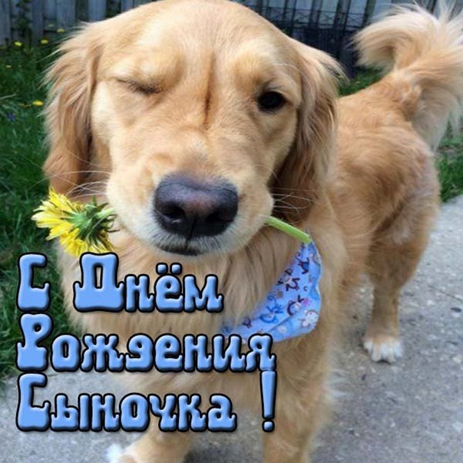 С днем рождения, сыночек!