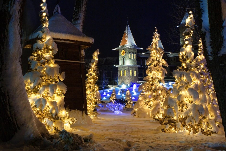 Парк Лога Ростовская область новый год