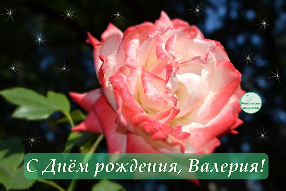 С днём рождения Валерия