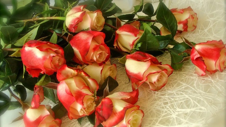 Открытки с розами красивые