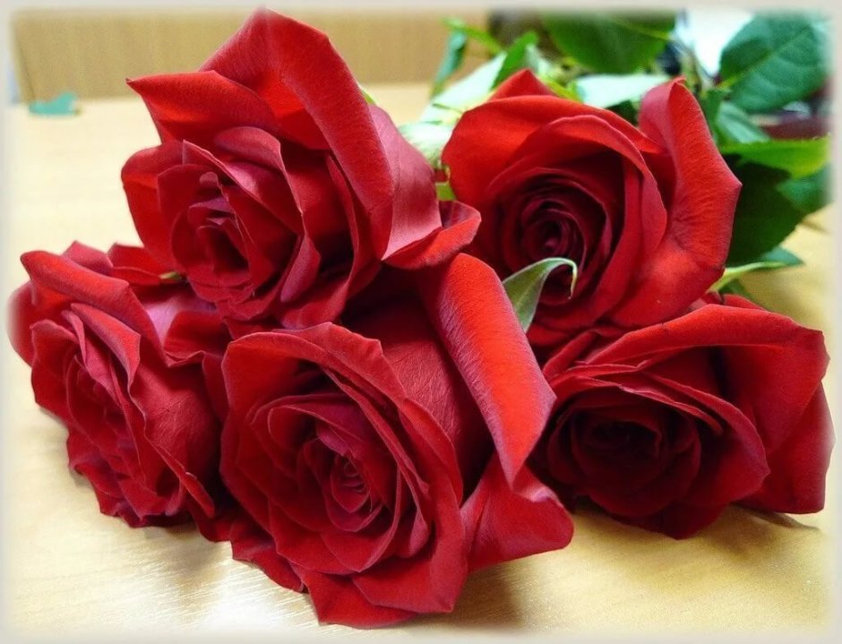 Розовые розы с днем рождения картинки