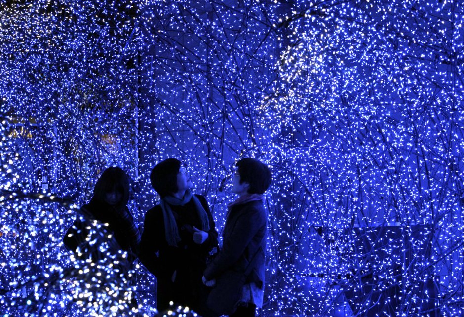 Фестиваль светлячков в Японии