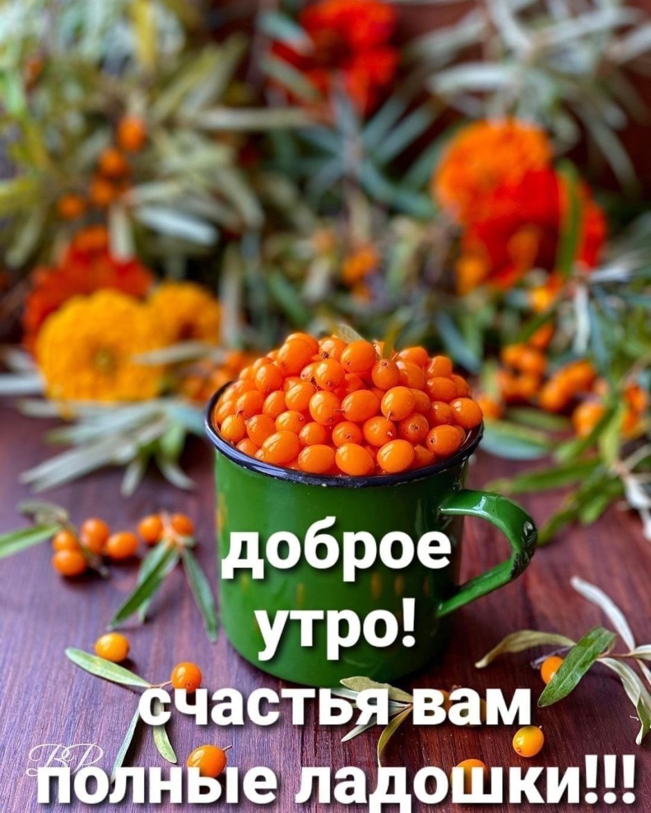 Картинки с добрым утром