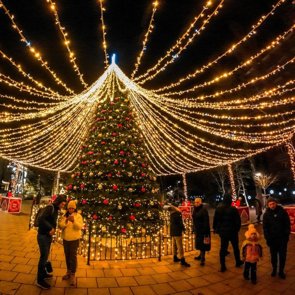 Предновогодний Зеленоградск