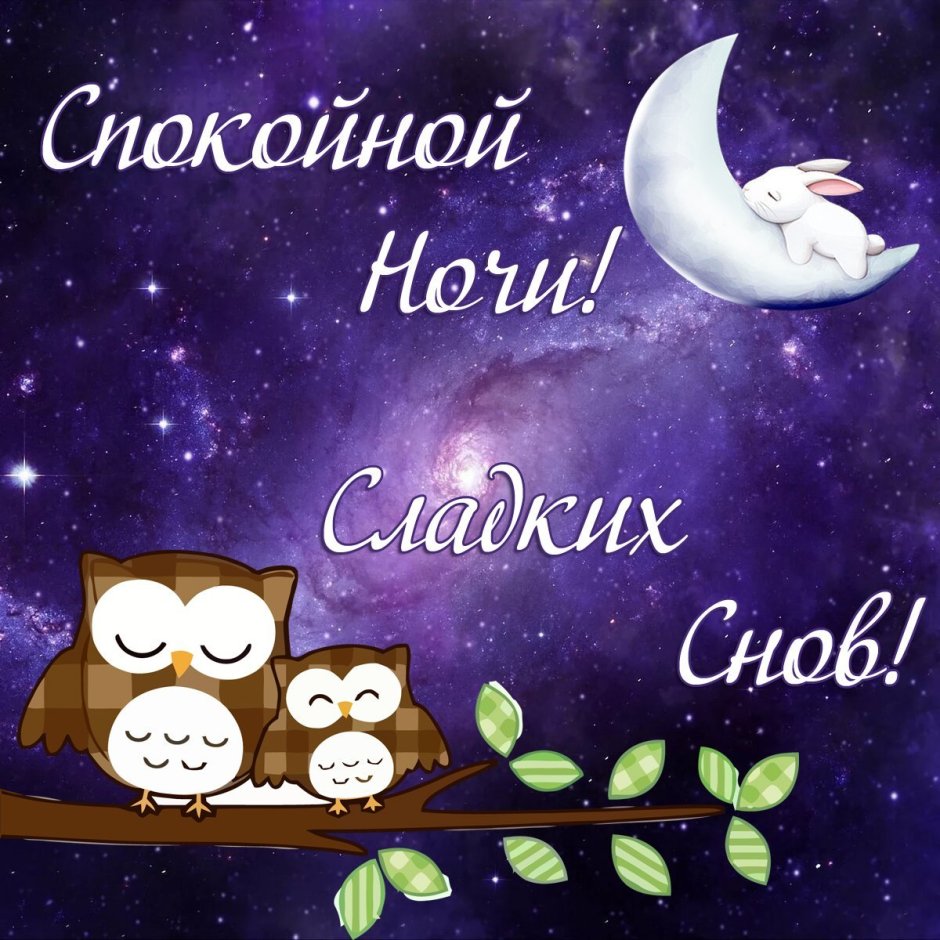 Спокойной ночи сладких снов