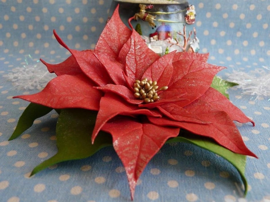 Рождественский цветок пуансетия трафарет