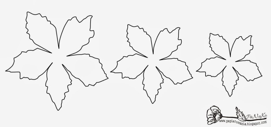 Трафарет цветка пуансеттия
