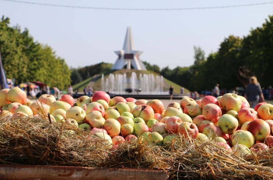 Фестиваль Багаевские яблочки в Усть Курдюме