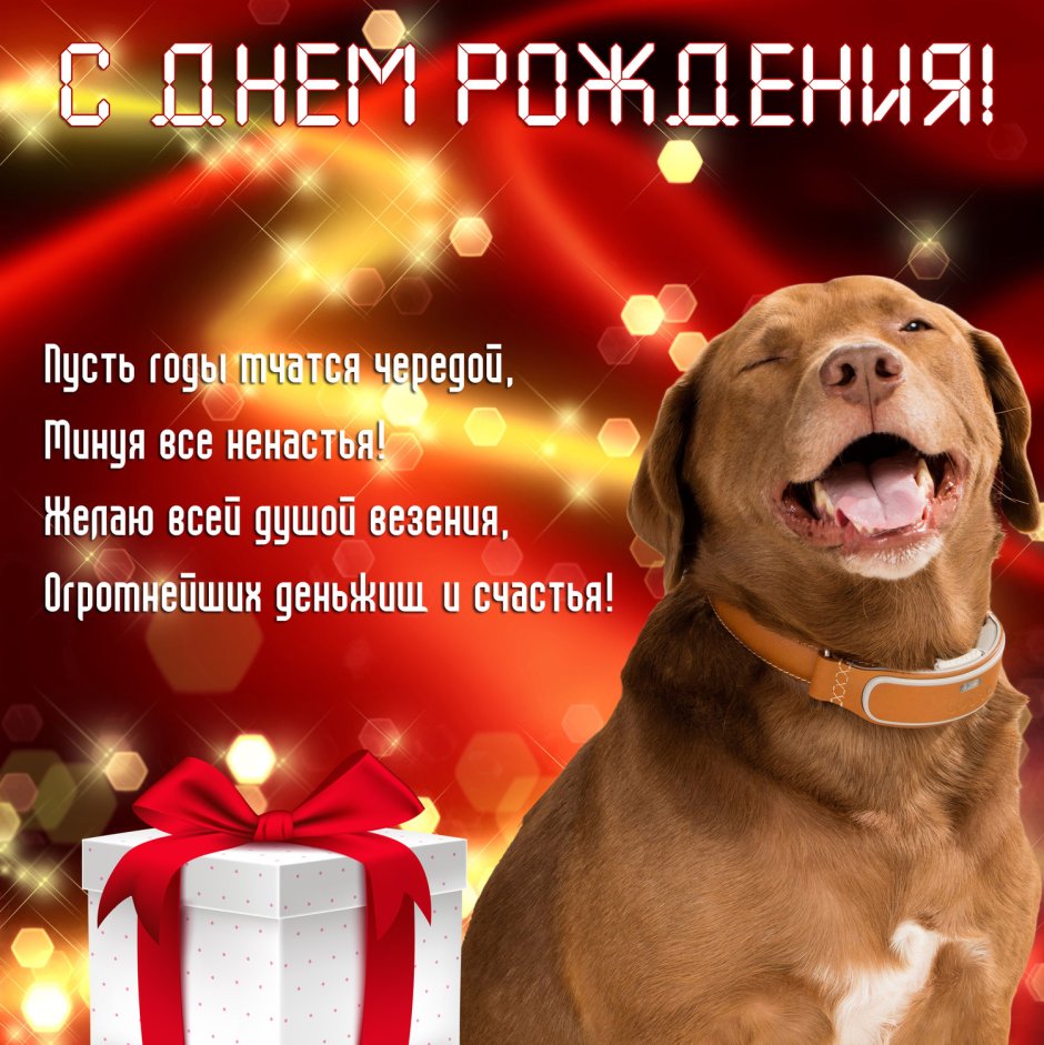 Поздравление с собакой открытка