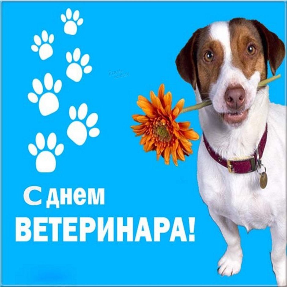 Стихи с днём рождения