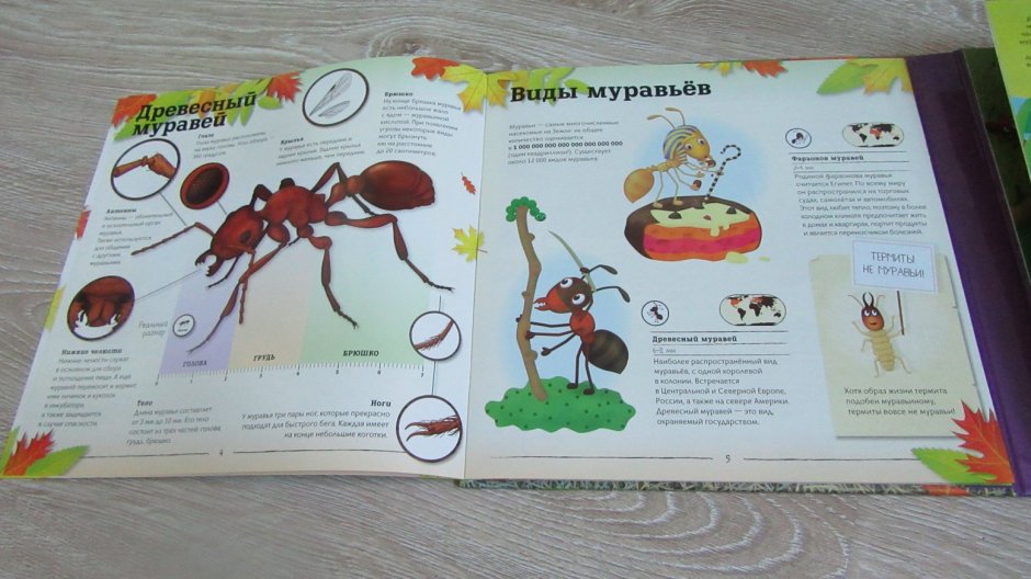 Энциклопедия про муравьев