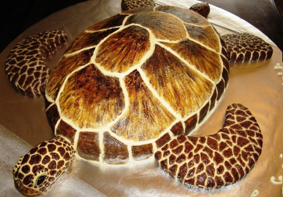 Торт черепаха со сметанным кремом и сгущенкой
