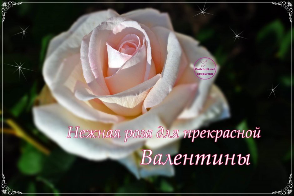 Цветы для Валюши