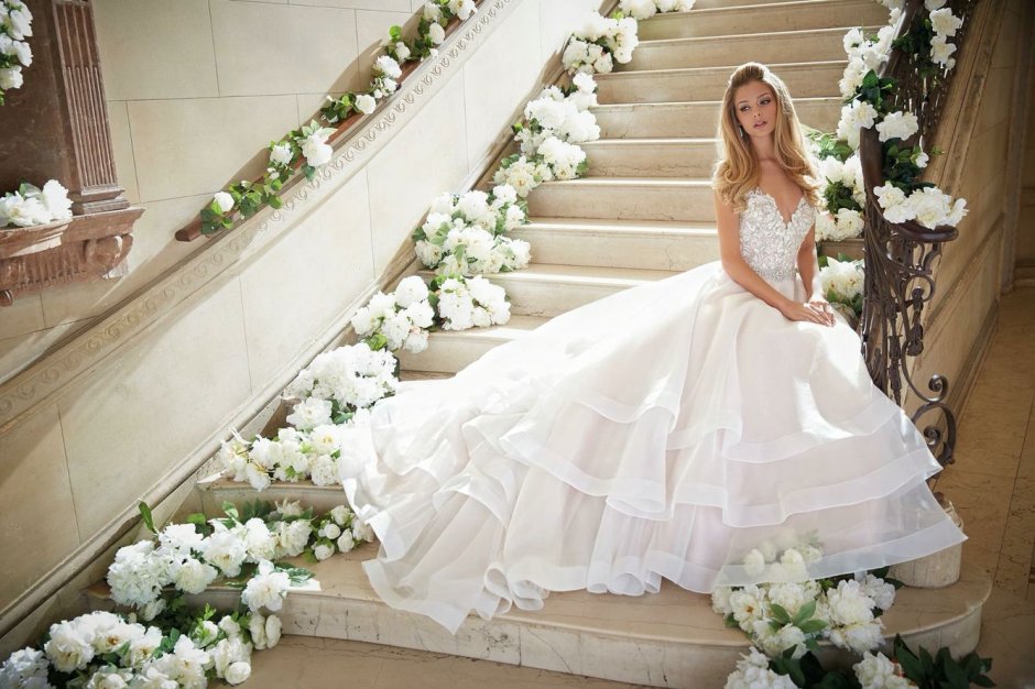Хризантема белая невеста