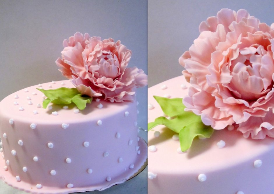 Цветы из мастики для торта