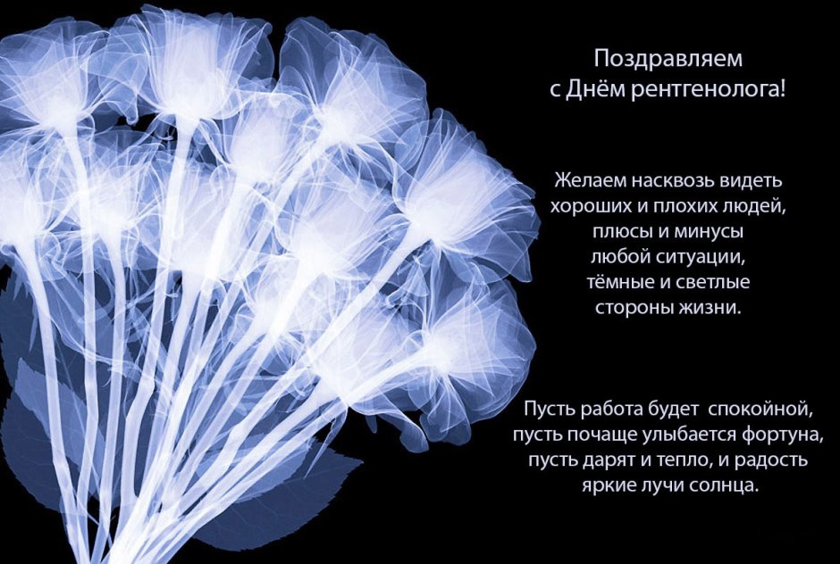 С днем рентгенолога поздравления прикольные