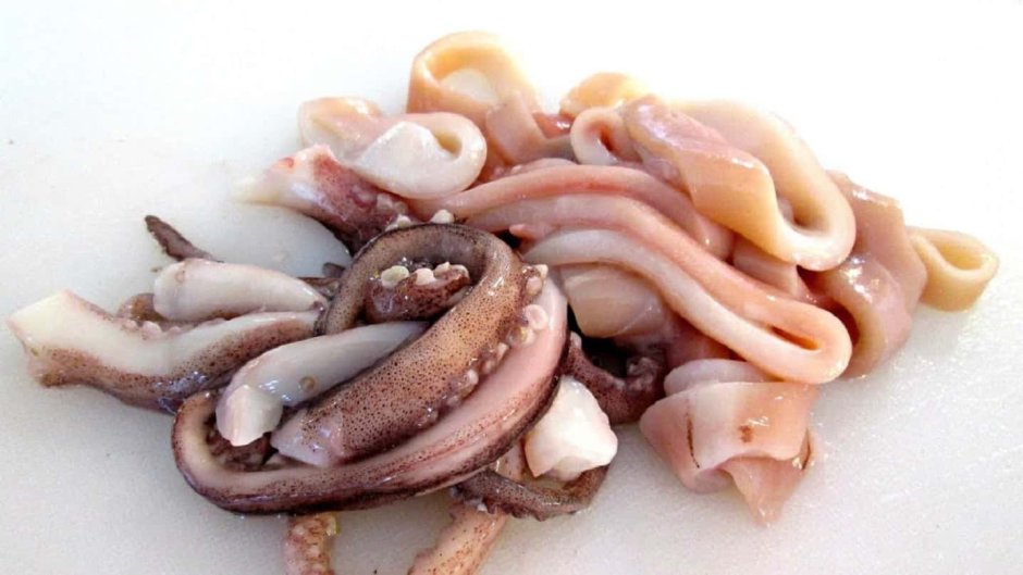 Silver food Squid кальмар