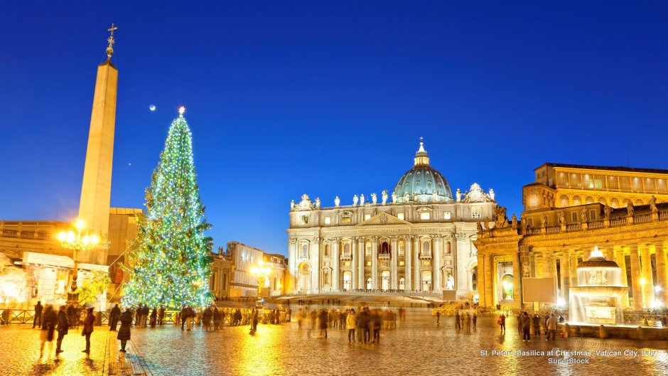 Главная елка Италии на площади Святого Петра Пьяцца