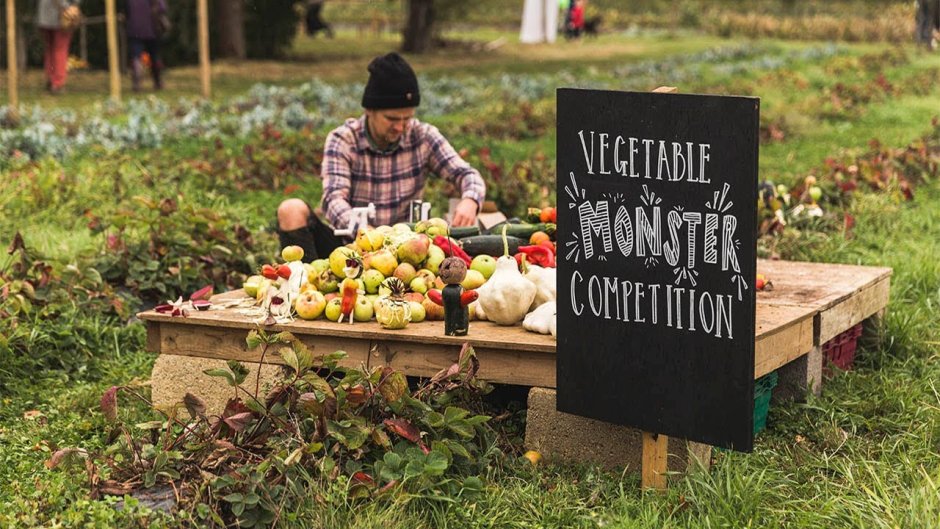 Harvest Day в Англии