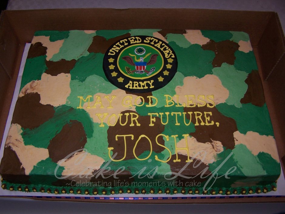 Торт военный для мальчика c c s g