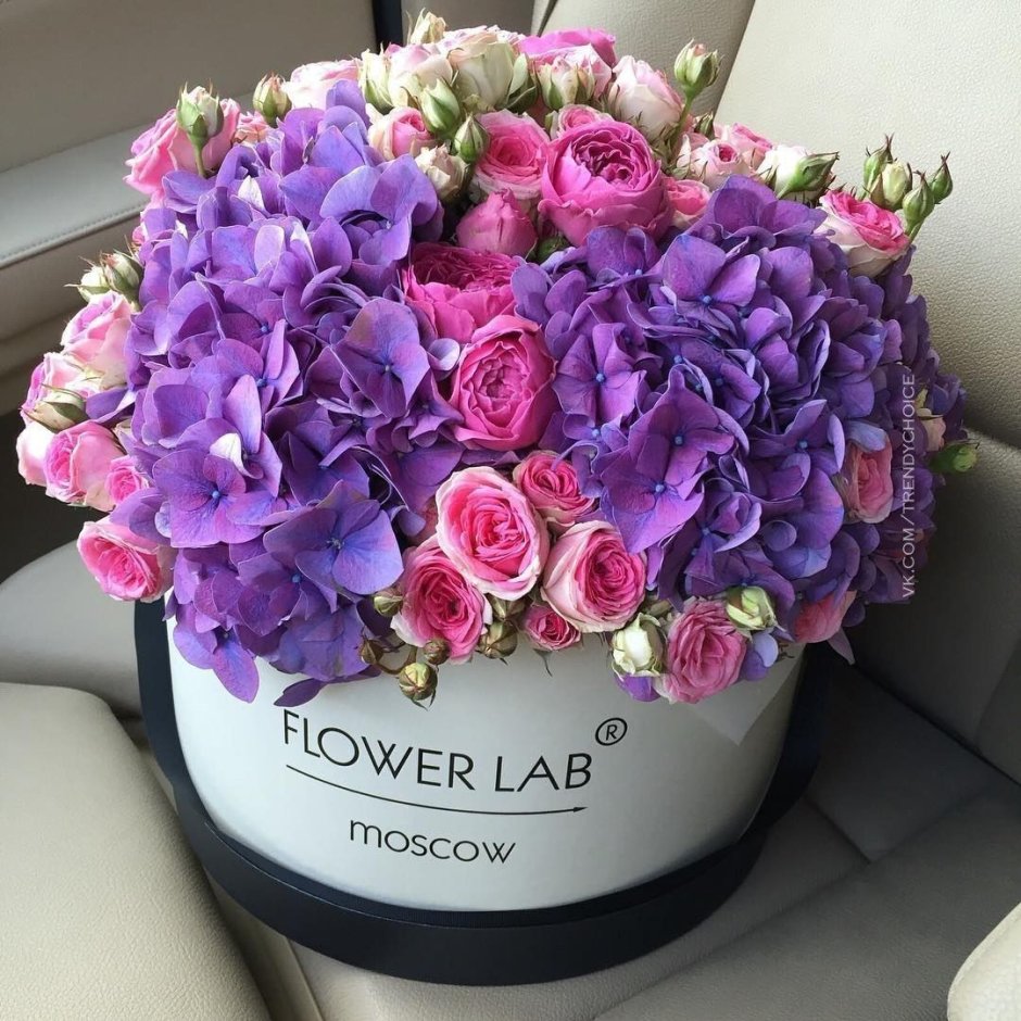 Самые красивые цветы в коробках