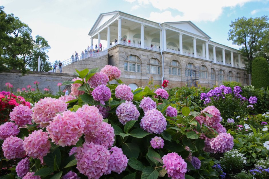 Tsarskoe Selo Palace in St Petersburg