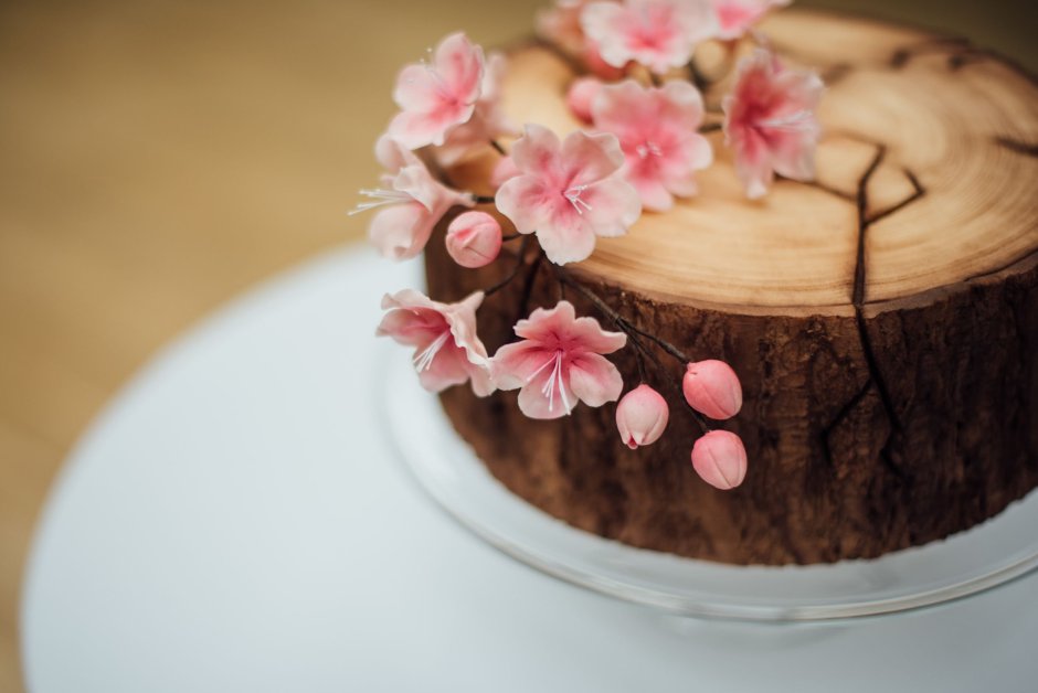 Цветы Сакуры на торте