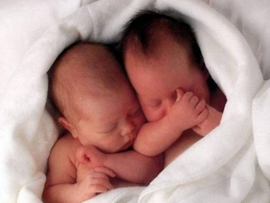Поздравление с рождением двойни
