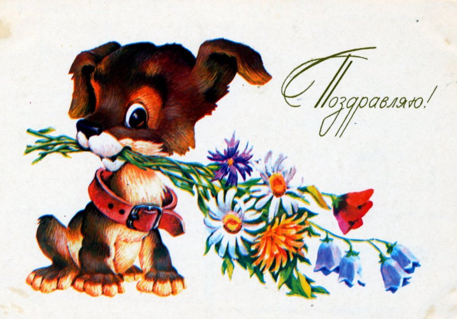 Советские открытки со зверюшками