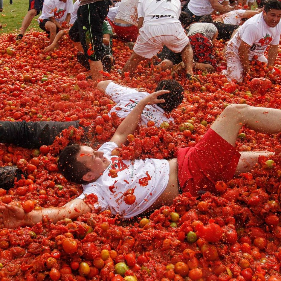 Битва томатов (la Tomatina) - Испания