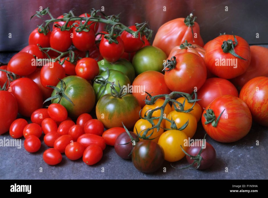 Фермерские томаты