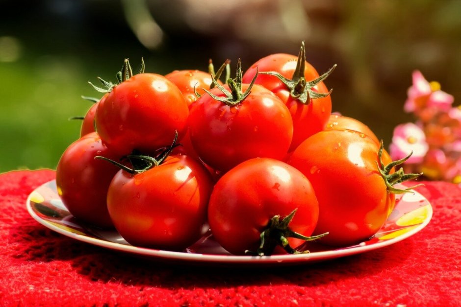 Фестиваль томатов в Испании