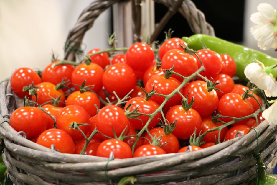 Битва помидорами (la Tomatina)