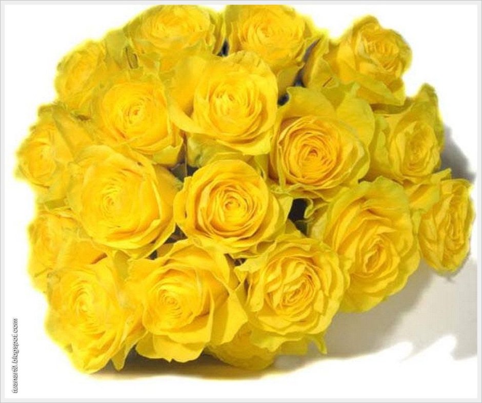 Желтые розы искусственные