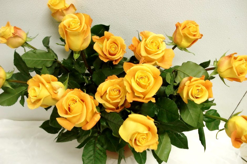 Шикарный букет желтых роз для любимой