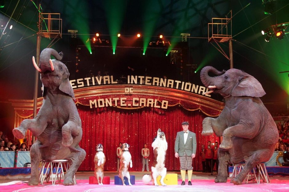 Монте Карло фестиваль цирка