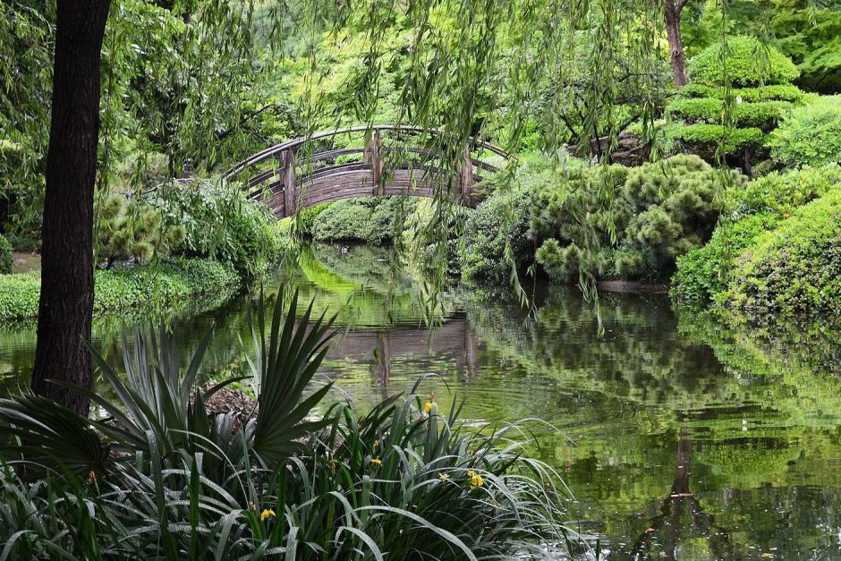 Ботанический сад Чагуаль