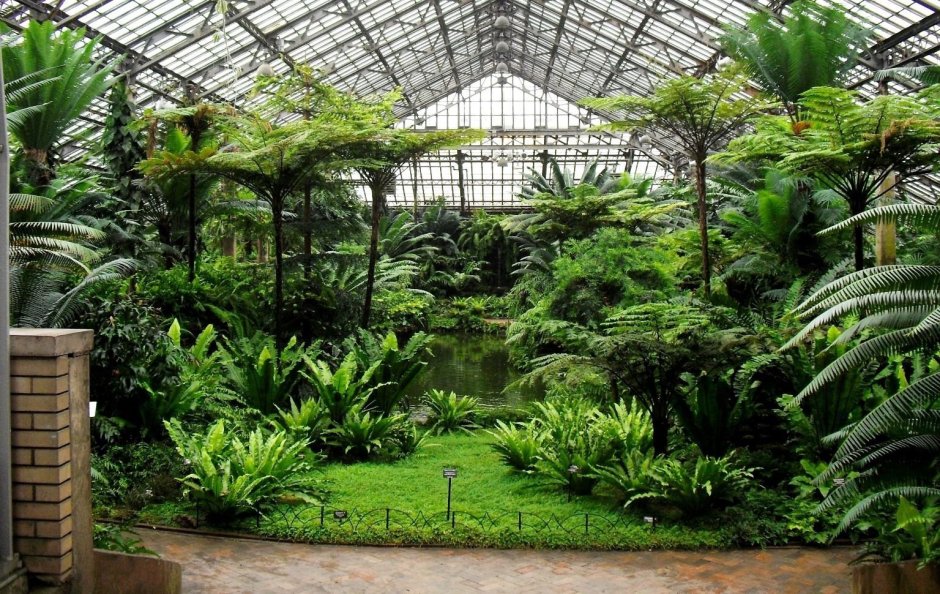 Ботанический сад Порто Ново