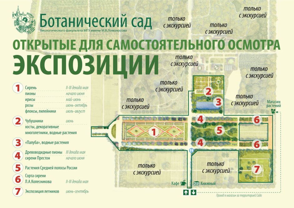 Ботанический сад Папоротниковая оранжерея