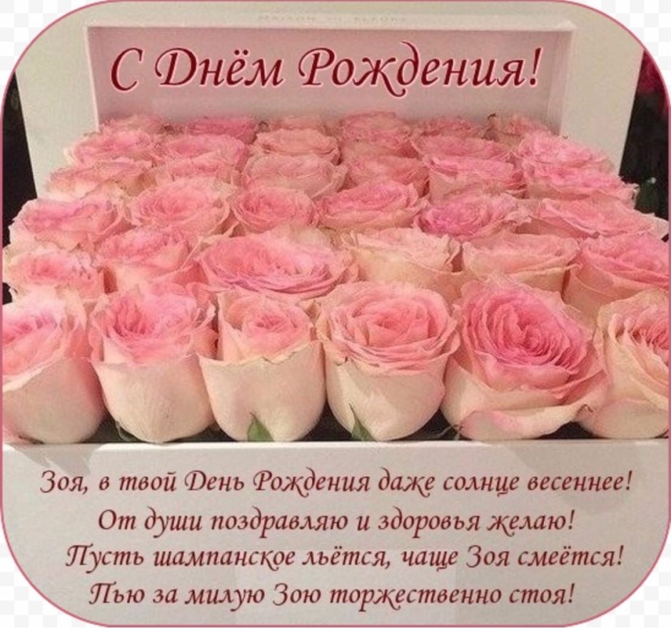 Поздравление Зое