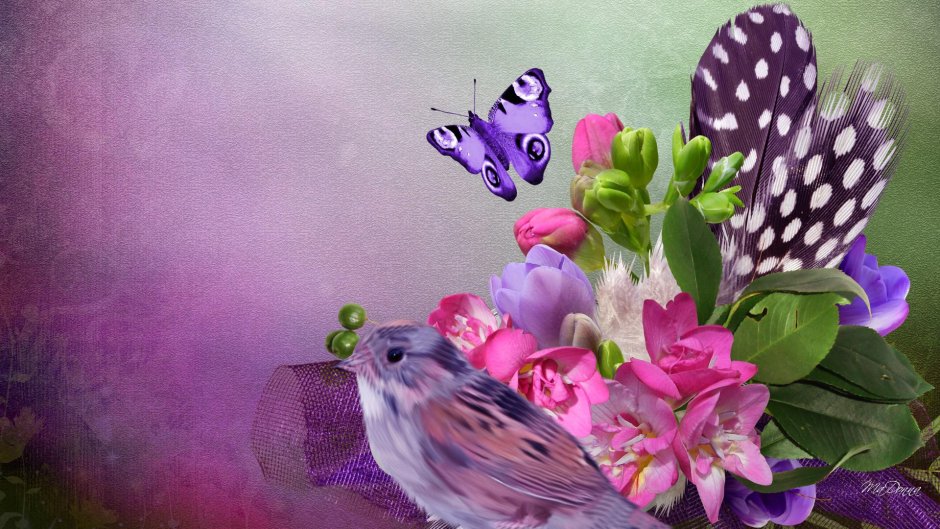 Птицы и бабочки красивые
