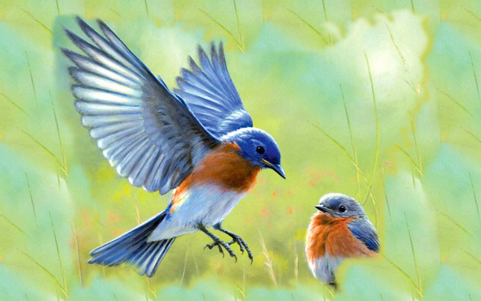 Птичка на синем фоне