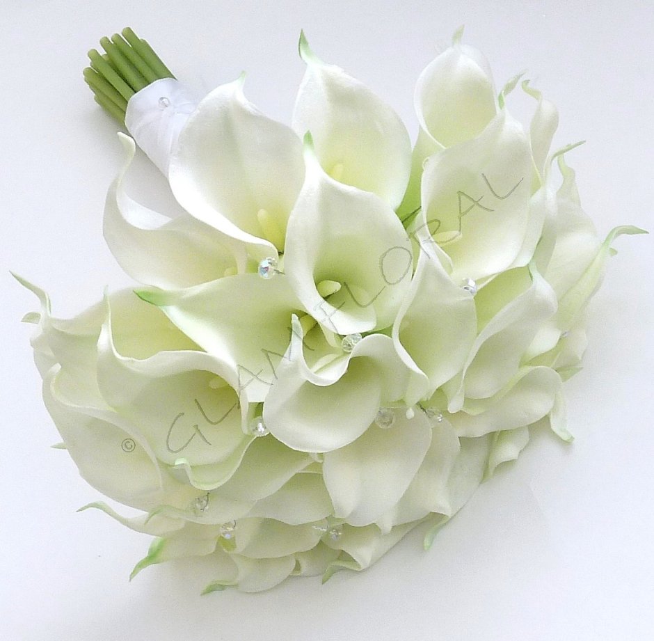 Цветы каллы белые букет