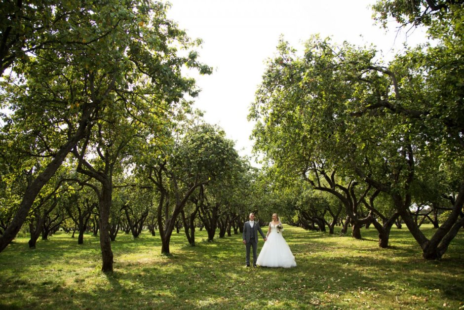 Яблоневый сад в Коломенском свадьба