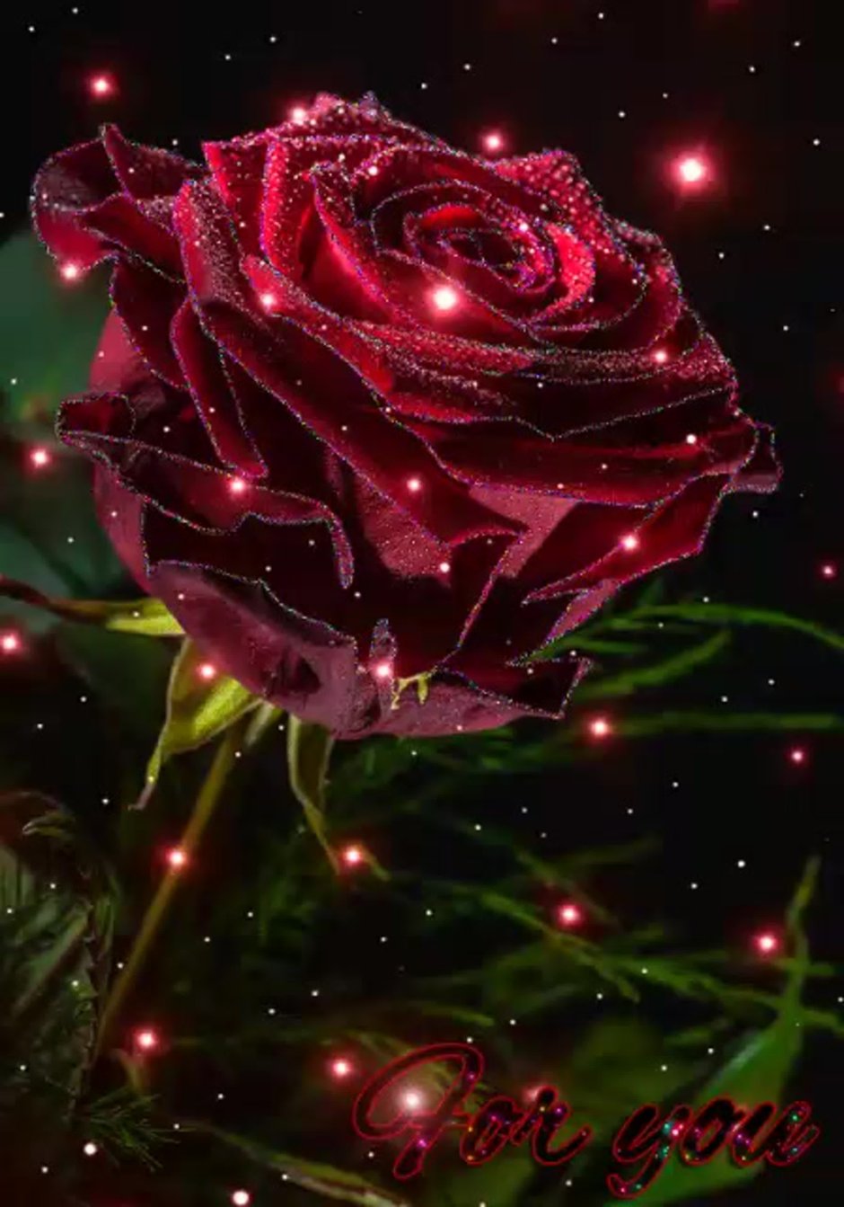 Розы блестящие красивые