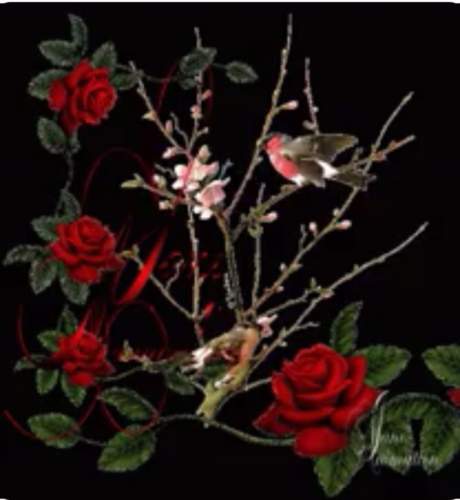 Розы и птицы гиф