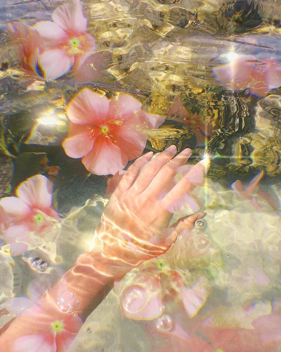 Эстетика цветов в воде